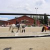 sonntag_ 42